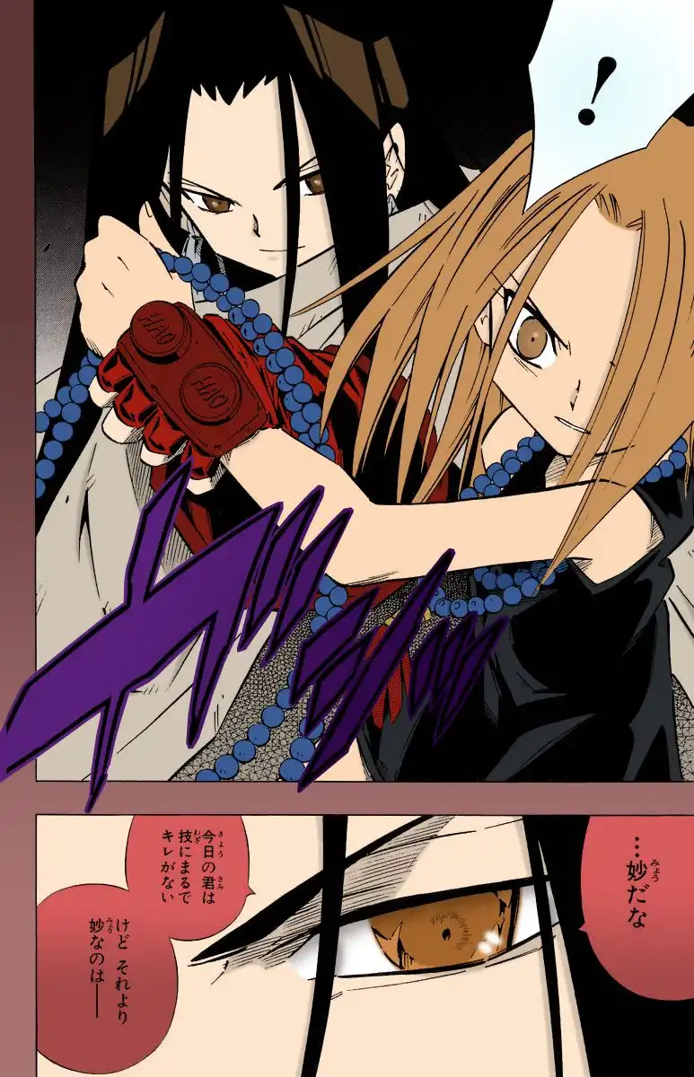 Shaman King Chapter 245 13